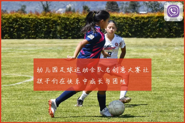 幼儿园足球运动会队名创意大赛让孩子们在快乐中成长与团结