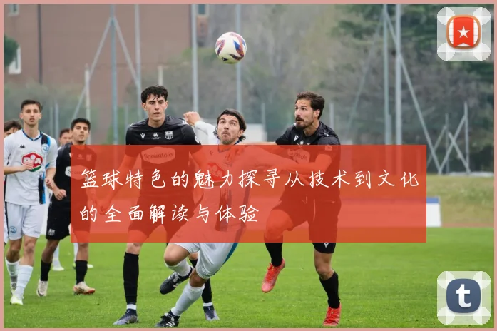 篮球特色的魅力探寻从技术到文化的全面解读与体验