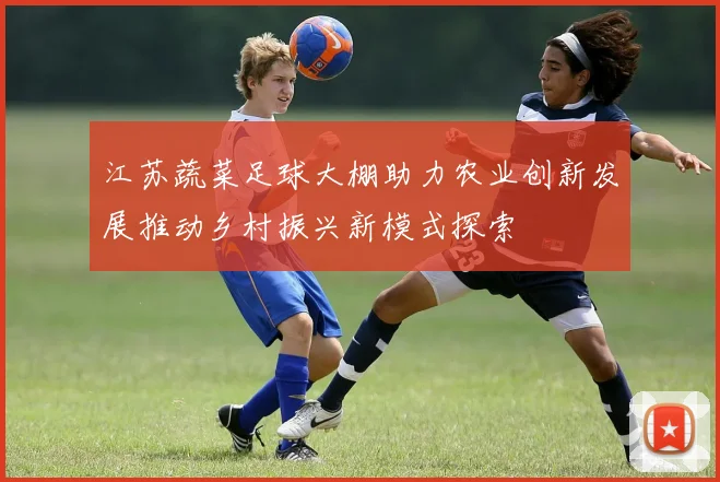 江苏蔬菜足球大棚助力农业创新发展推动乡村振兴新模式探索