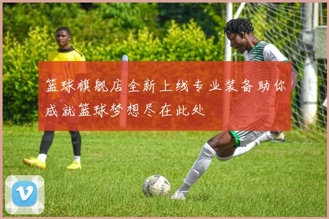 篮球旗舰店全新上线专业装备助你成就篮球梦想尽在此处