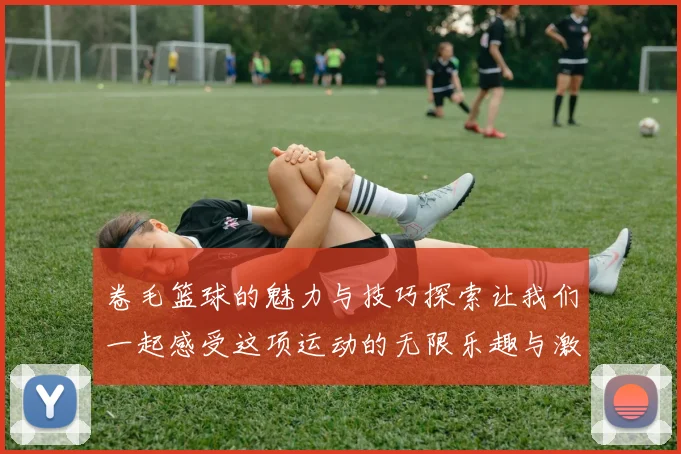 卷毛篮球的魅力与技巧探索让我们一起感受这项运动的无限乐趣与激情