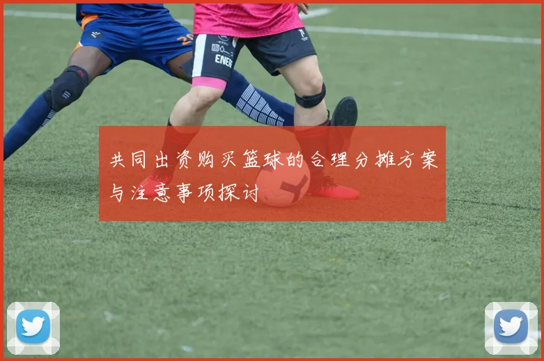 共同出资购买篮球的合理分摊方案与注意事项探讨